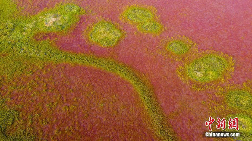 ??????: ??? ?????? ???? ?? ???? ???? ????? ?? ??????? ?????? ??????? ??????? ????? ??????