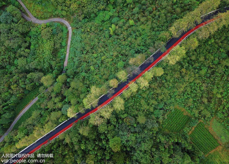 ?????? ?????? ?????? .. ?????? ??? ?????? ?? ???? ?????