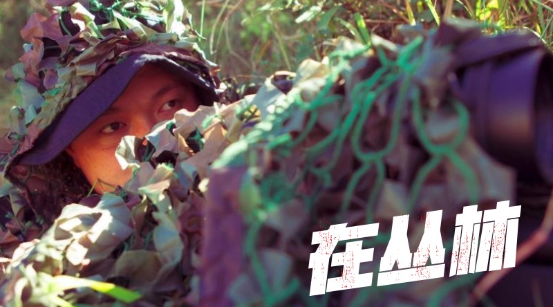 ???? ????? 14 ?????: ????? ??? ??? ?????? ?? ?????