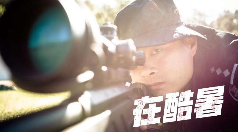 ???? ????? 14 ?????: ????? ??? ??? ?????? ?? ?????