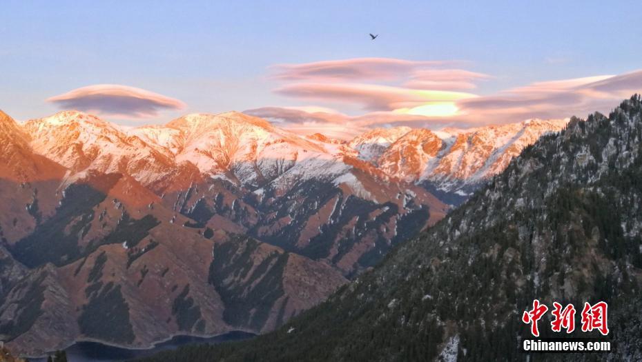 ???? ??????? ?? ???????? ??? ???? ????? .. ???? ??? ?? ???????