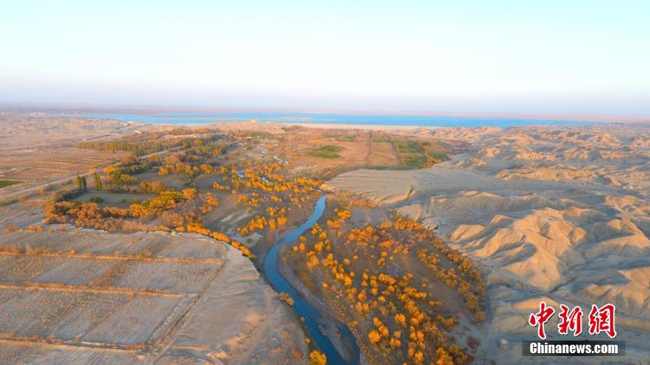 ???? ????? ????? ?????? ?????? .. ???? ?????? ?????? ???????