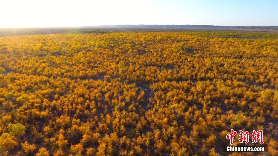 ???? ????? ????? ?????? ?????? .. ???? ?????? ?????? ???????