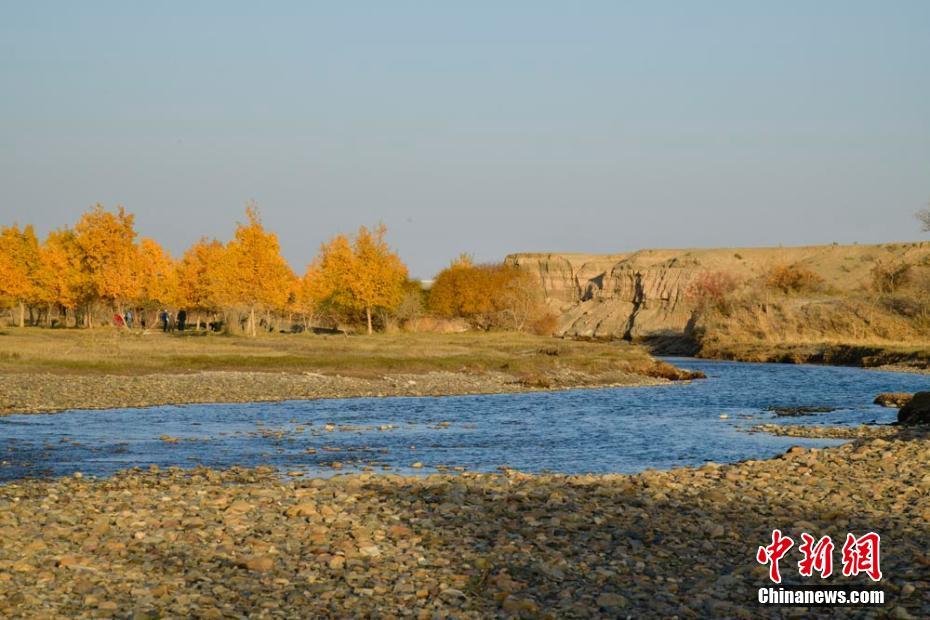 ???? ????? ????? ?????? ?????? .. ???? ?????? ?????? ???????