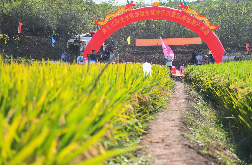 1046.3 ????????! ????? ?????? ?? ????? ?????? ?? ????? ??? ?????? ????