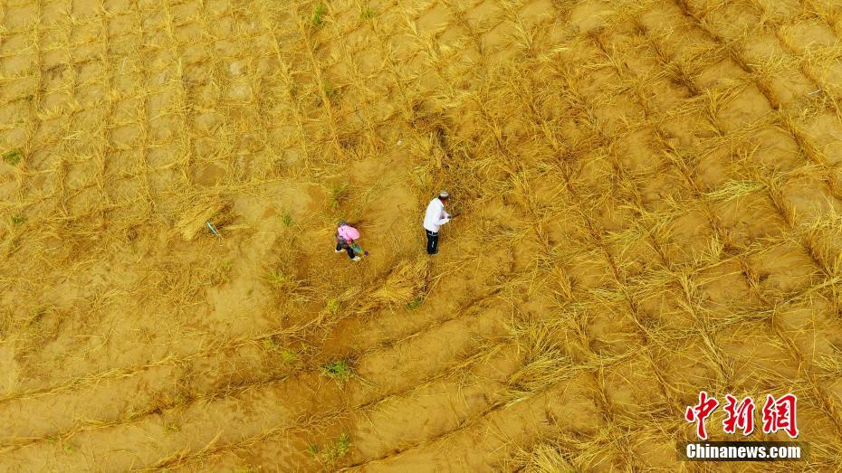 ???????? ???????? ..  ?? ????? ??? ????