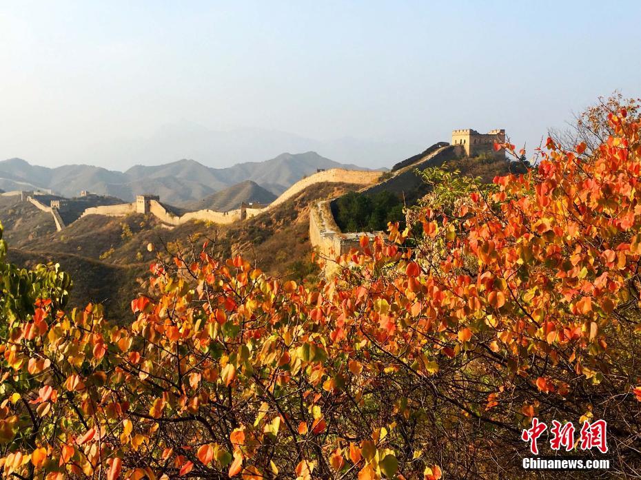 ?????? ???? ????? ??? ??? ????? ??????