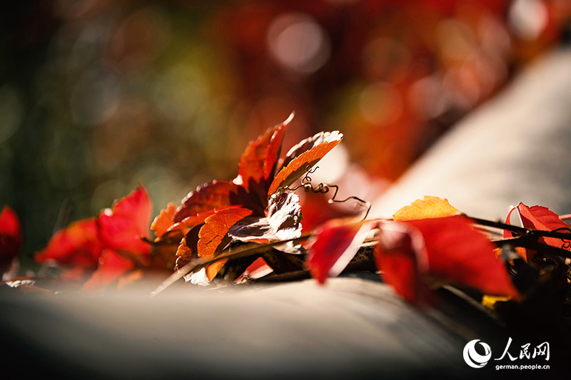 ????? ?? ????? ??????? ??? ???? ??? ???? ??????