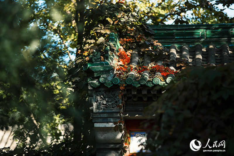 ????? ?? ????? ??????? ??? ???? ??? ???? ??????