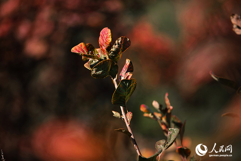 ????? ?? ????? ??????? ??? ???? ??? ???? ??????