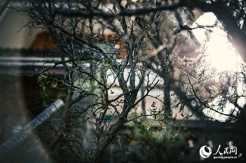 ????? ?? ????? ??????? ??? ???? ??? ???? ??????