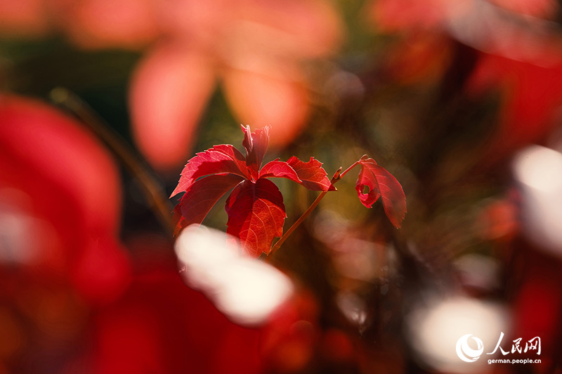 ????? ?? ????? ??????? ??? ???? ??? ???? ??????