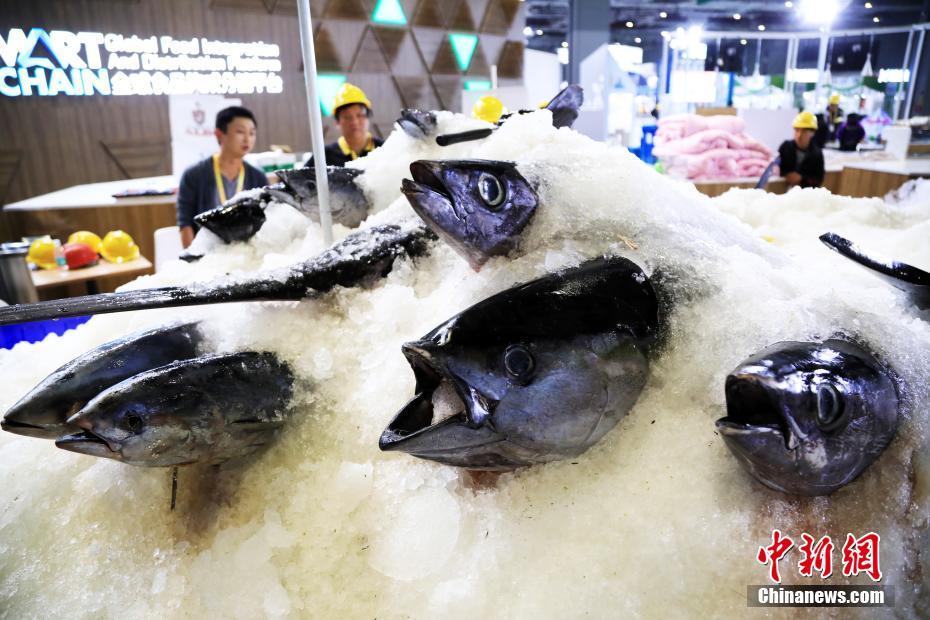 ?????? ???: ??????? ?????? ??????? ?????? ??????? ?? ???? ????? ?????? ?????????