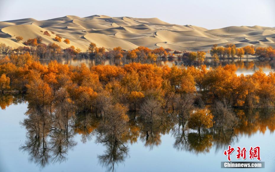 ???????? ?????? ???? ?? 200 ????? ???? ?? ??? 10 ???? ?? ????? ??????