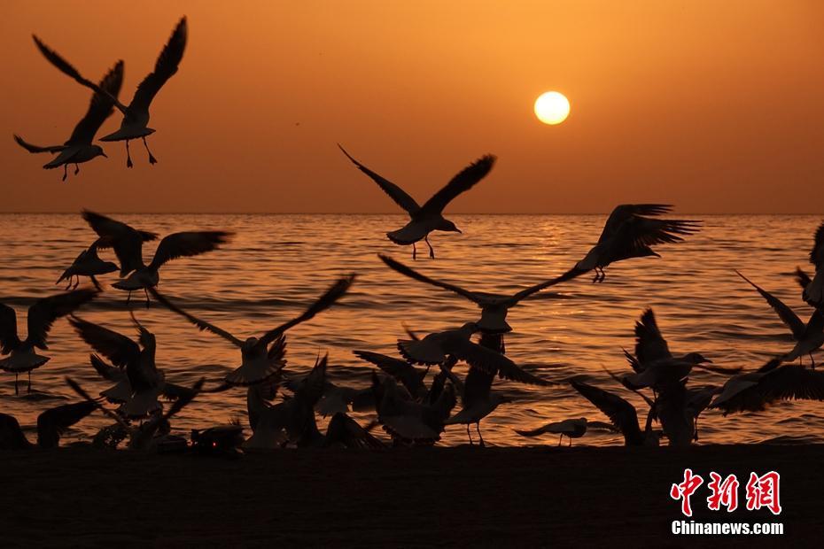 ???????? ?????? ???? ?? 200 ????? ???? ?? ??? 10 ???? ?? ????? ??????