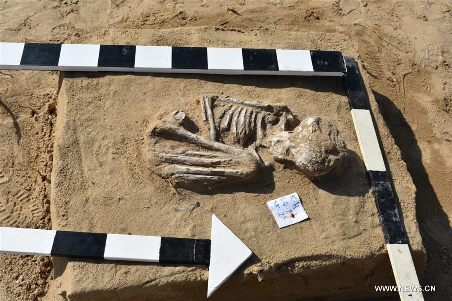 ?????? ????? ?????? ??????? ???? ???? ?? ??? ??????? ?? ???