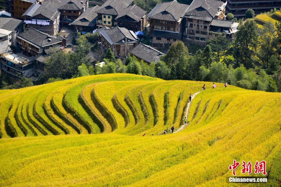 ??? ???????? ?? ????? ????? ?? ?? ???? ??? ??????