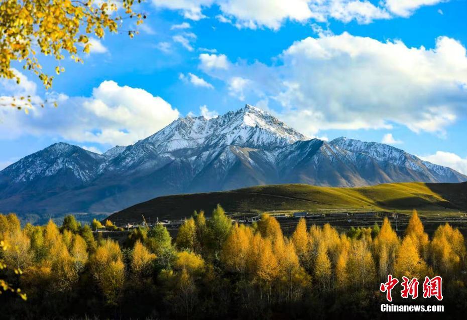 ??? ???????? ?? ????? ????? ?? ?? ???? ??? ??????