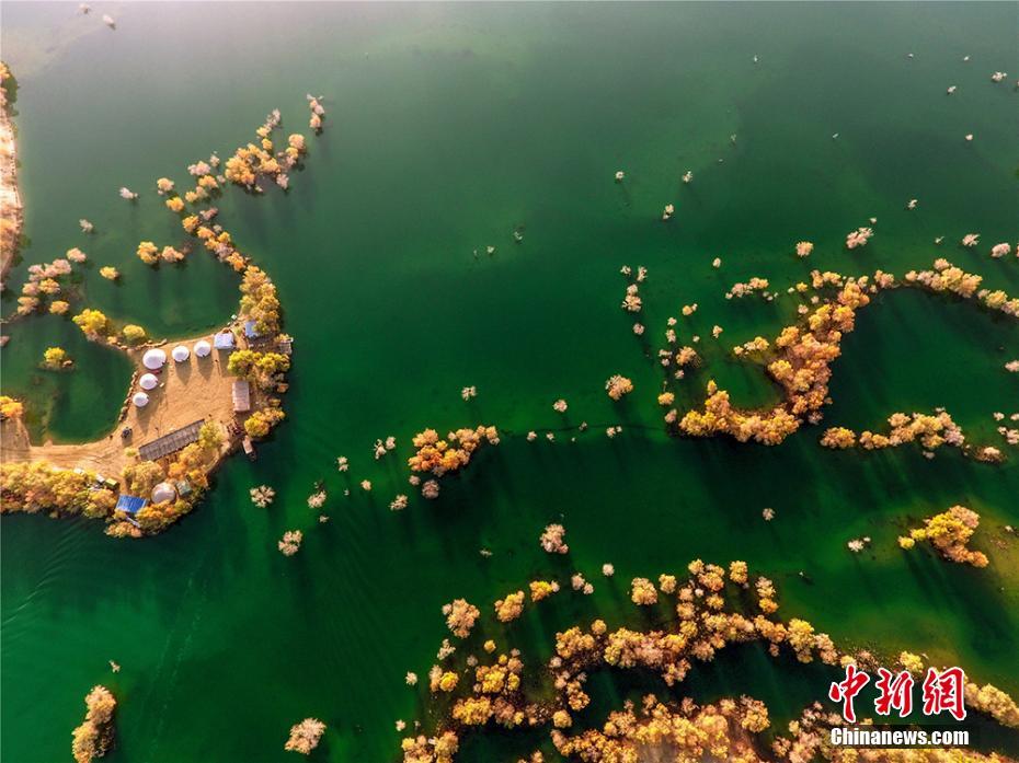 ??? ???????? ?? ????? ????? ?? ?? ???? ??? ??????