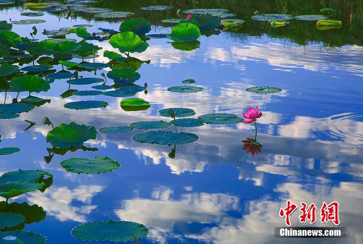 ??? ???????? ?? ????? ????? ?? ?? ???? ??? ??????