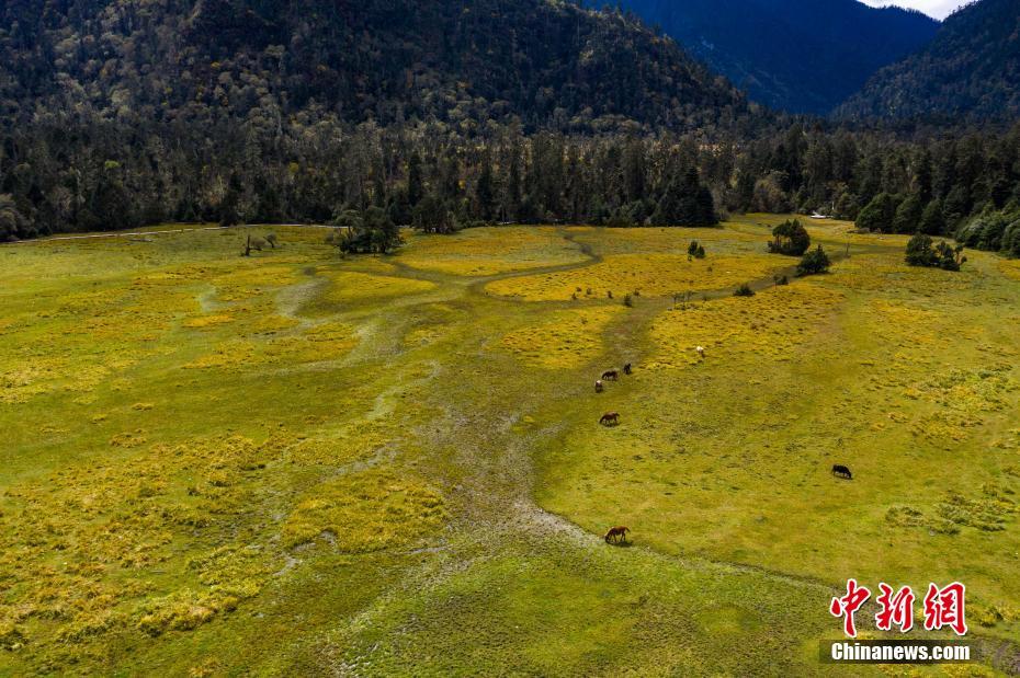 ??? ???????? ?? ????? ????? ?? ?? ???? ??? ??????