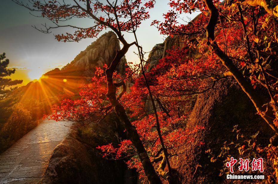 ??? ???????? ?? ????? ????? ?? ?? ???? ??? ??????