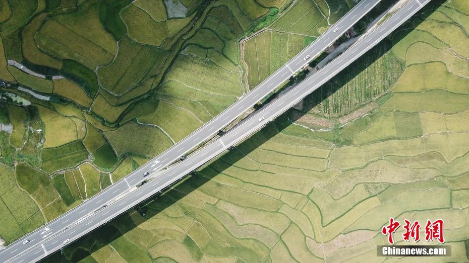 ??? ???????? ?? ????? ????? ?? ?? ???? ??? ??????