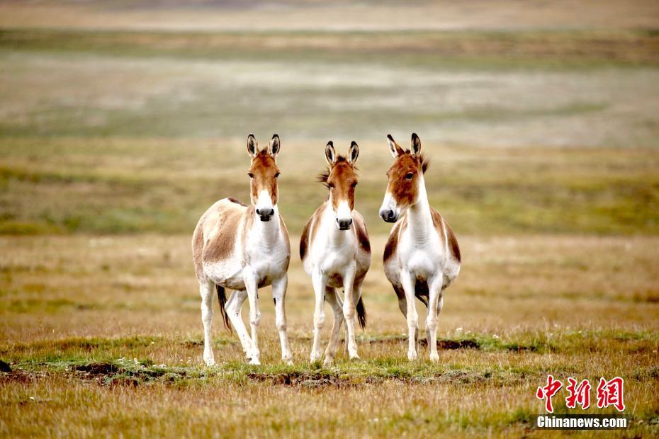 ??? ???????? ?? ????? ????? ?? ?? ???? ??? ??????