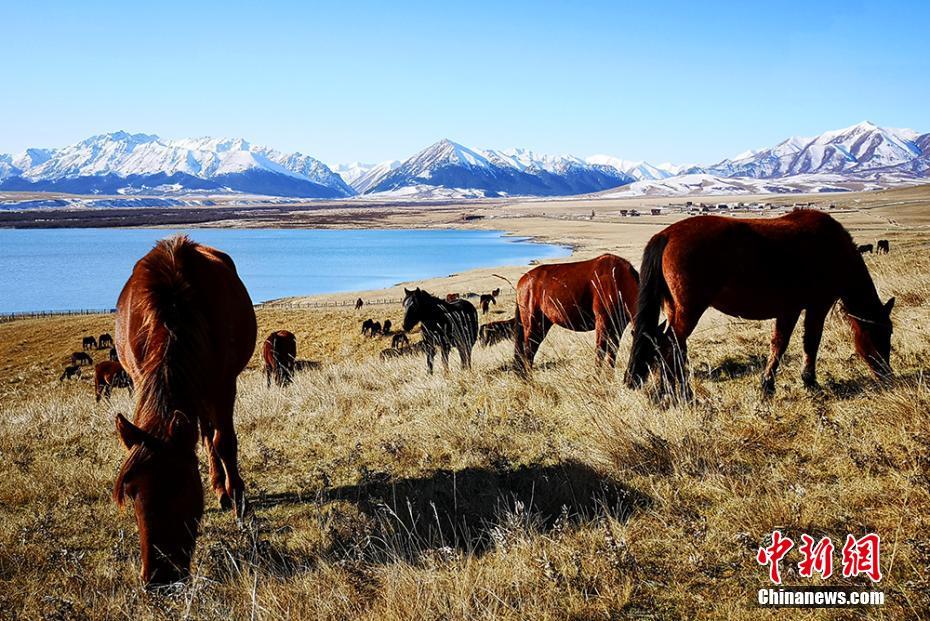 ??? ???????? ?? ????? ????? ?? ?? ???? ??? ??????