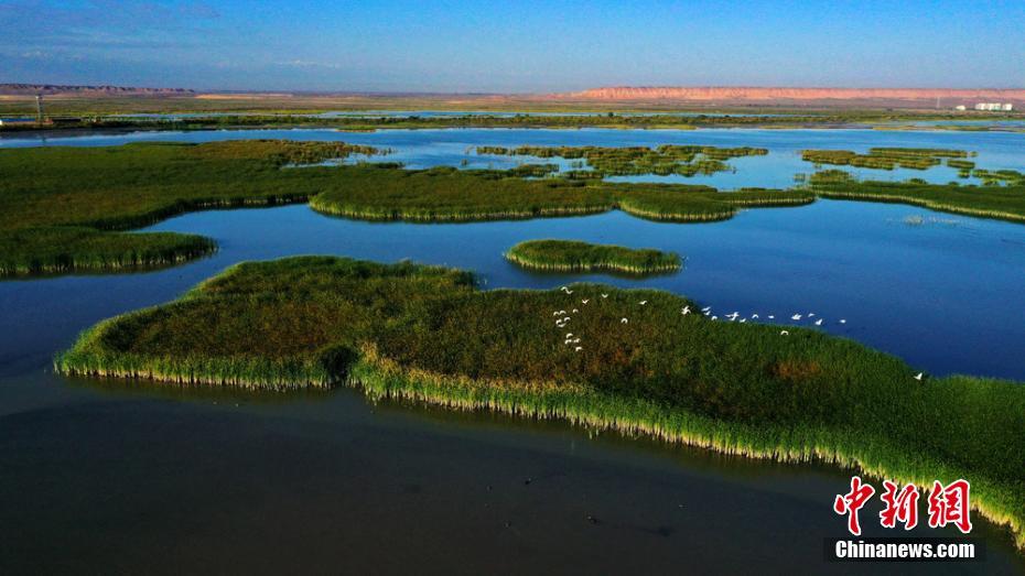 ??? ???????? ?? ????? ????? ?? ?? ???? ??? ??????