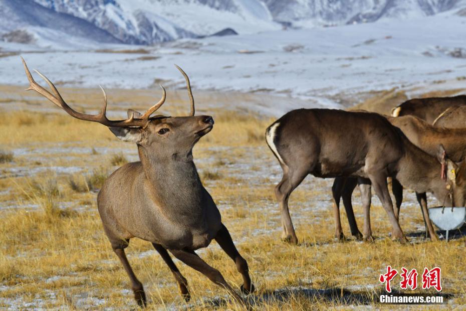 ??? ???????? ?? ????? ????? ?? ?? ???? ??? ??????