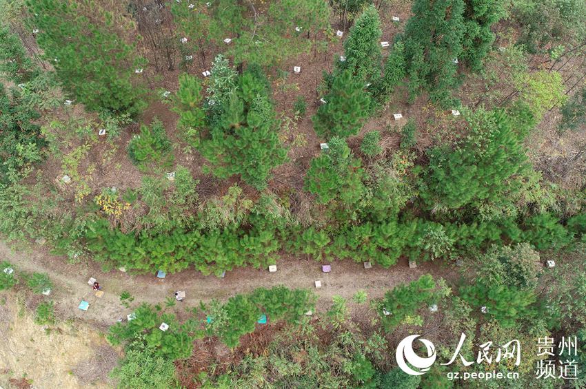 ??? ???? ????? ??????? ?????? ?????