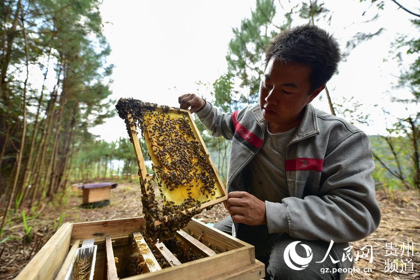 ??? ???? ????? ??????? ?????? ?????