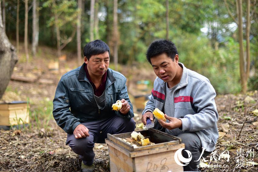 ??? ???? ????? ??????? ?????? ?????