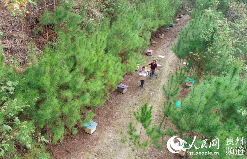 ??? ???? ????? ??????? ?????? ?????