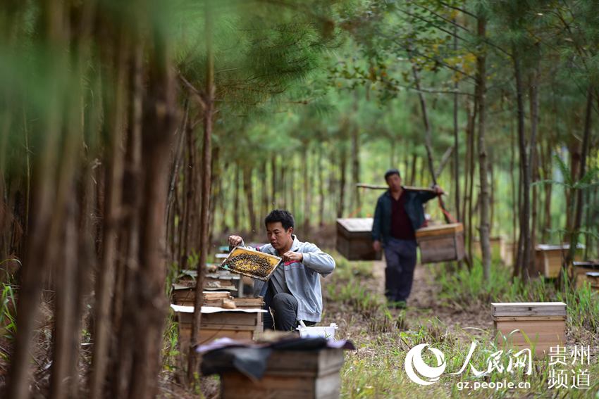 ??? ???? ????? ??????? ?????? ?????