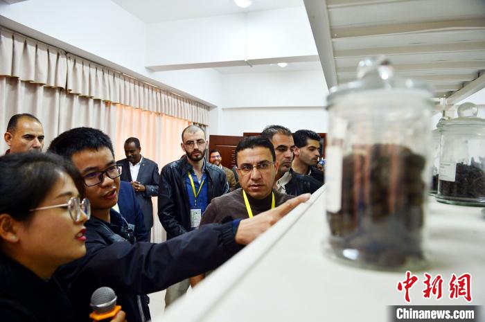 ???????? ????????? ????? ?????? ?????? ????