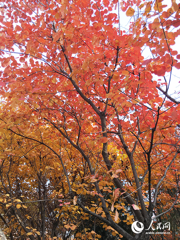 ?????? ???????? ???????? ??????? ??????? ??????? ?????? ????