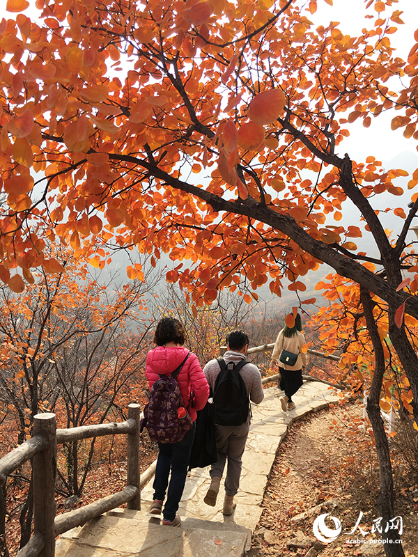 ?????? ???????? ???????? ??????? ??????? ??????? ?????? ????