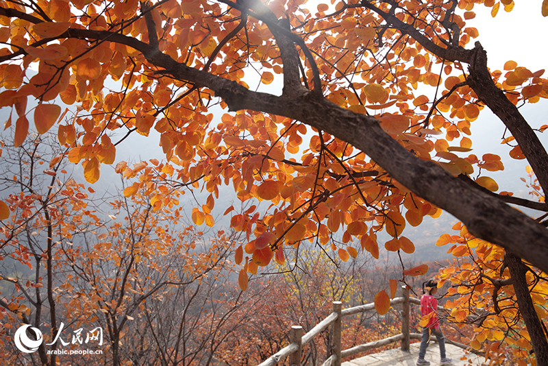 ?????? ???????? ???????? ??????? ??????? ??????? ?????? ????