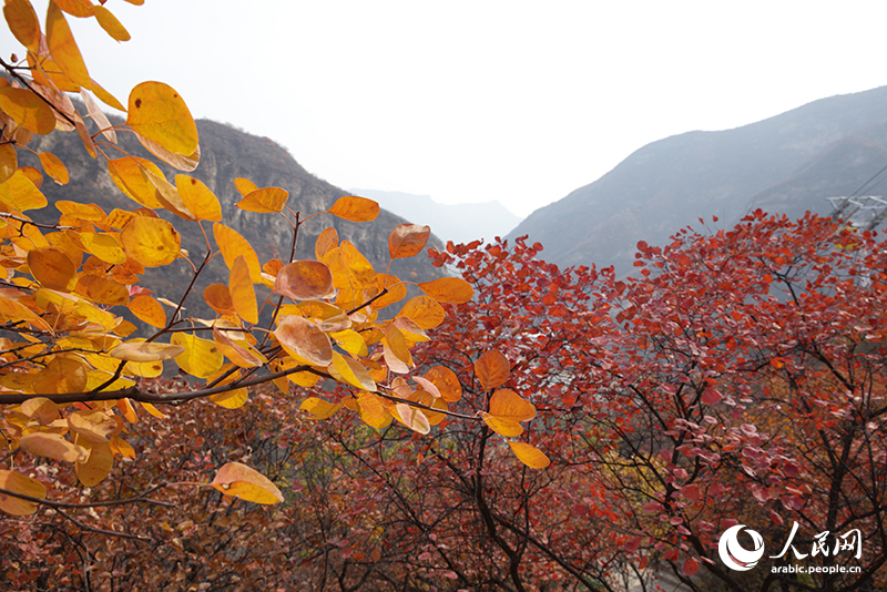 ?????? ???????? ???????? ??????? ??????? ??????? ?????? ????