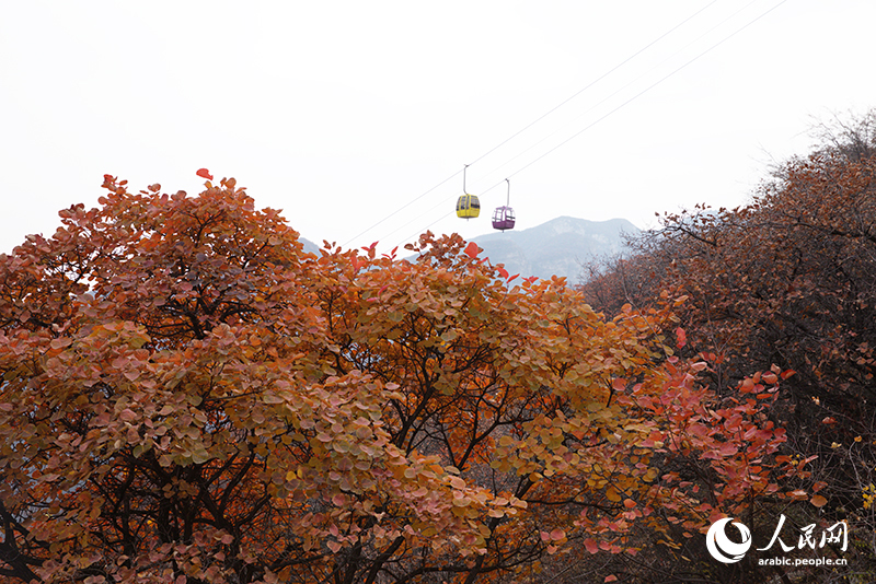 ?????? ???????? ???????? ??????? ??????? ??????? ?????? ????