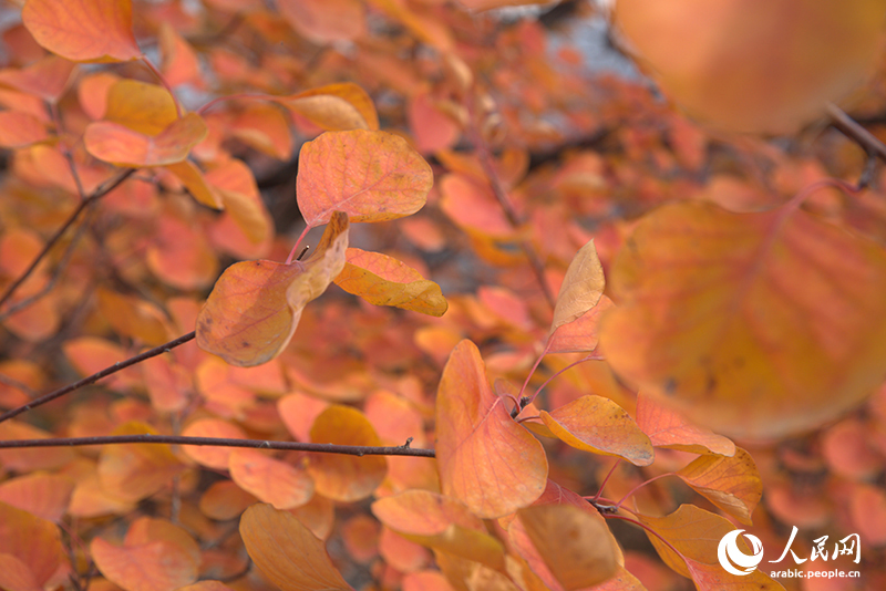 ?????? ???????? ???????? ??????? ??????? ??????? ?????? ????