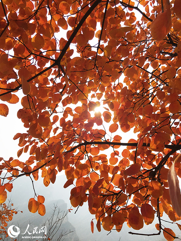 ?????? ???????? ???????? ??????? ??????? ??????? ?????? ????