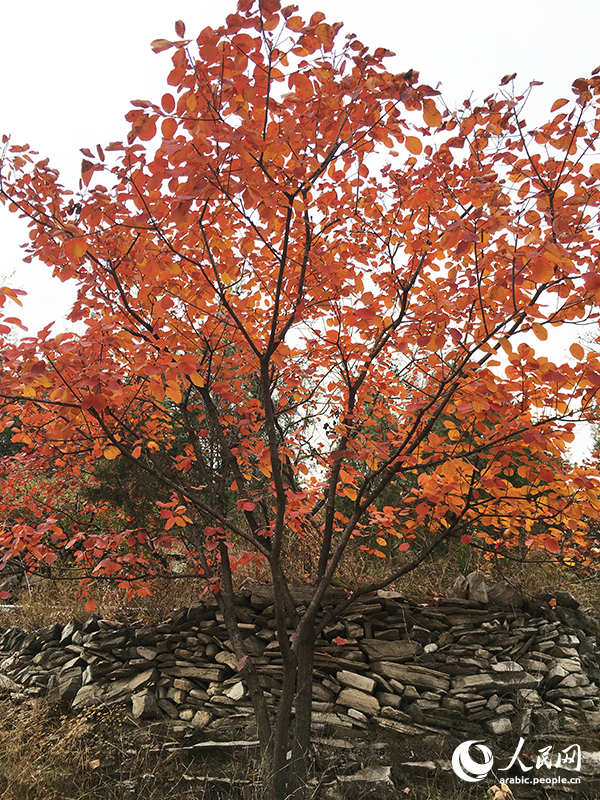 ?????? ???????? ???????? ??????? ??????? ??????? ?????? ????