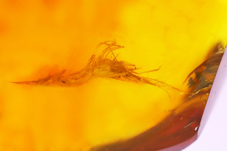 ???? ??? ?? ??????  .. ????? ?????? ??????? ???? ?????? ??????? ????? ????? ????