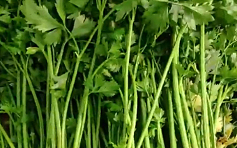 ????? ???? ????? ?????? ?????? ?? ??????