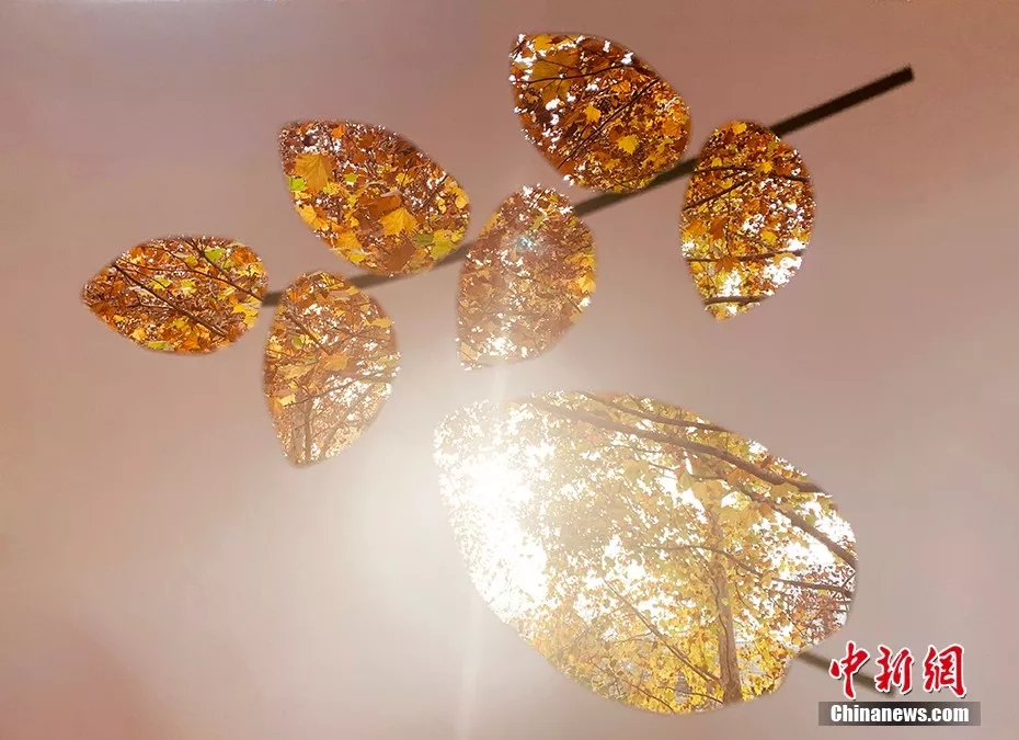 ??? ??????: ??????? ???????? ??????? ???? ???? A4