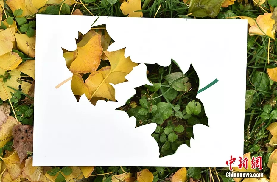 ??? ??????: ??????? ???????? ??????? ???? ???? A4