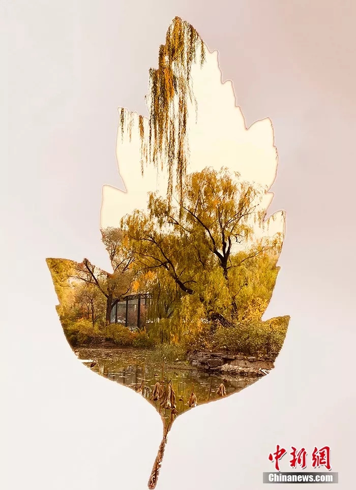 ??? ??????: ??????? ???????? ??????? ???? ???? A4